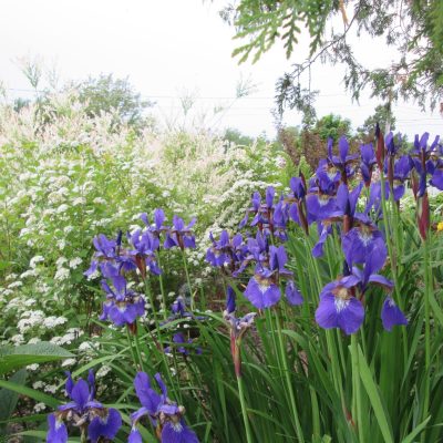 64rte13-garden-16
